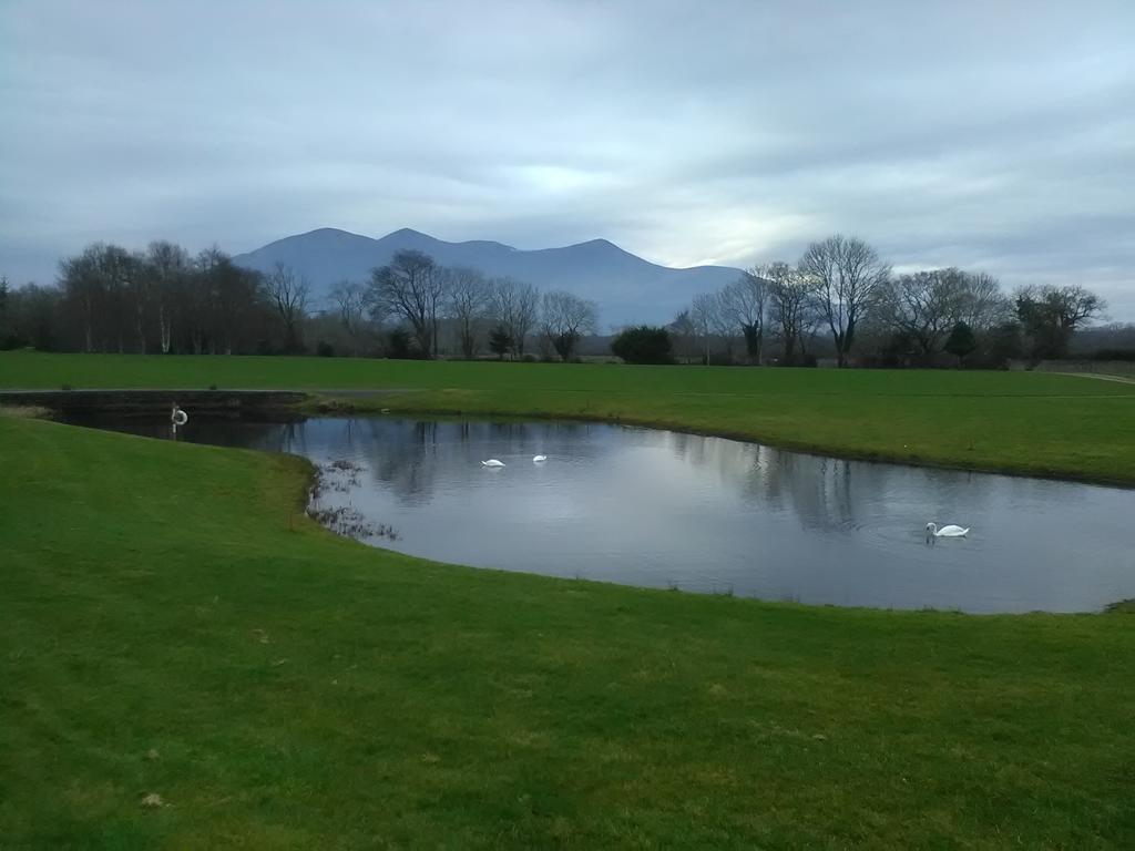 Larkfield House B&B, Ballycasheen Kerry V93 Wd51 Killarney Exterior foto